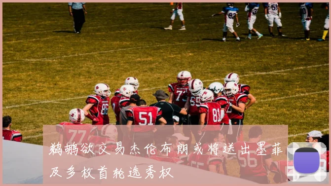 鹈鹕欲交易杰伦布朗或将送出墨菲及多枚首轮选秀权