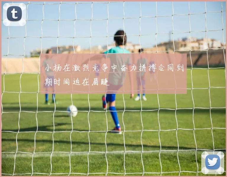 小杨在激烈竞争中奋力拼搏合同到期时间迫在眉睫