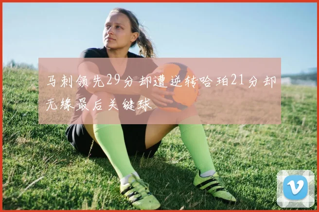 马刺领先29分却遭逆转哈珀21分却无缘最后关键球